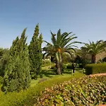 Alba Palau