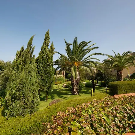Alba Palau